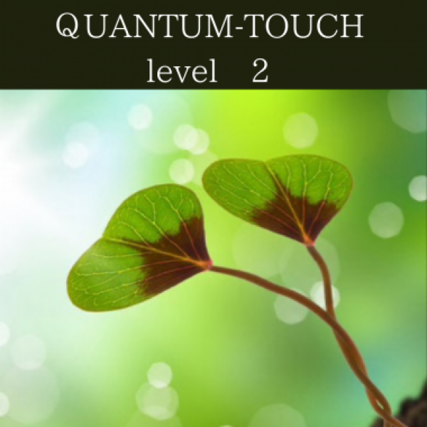 Quantum touch Level 2サムネイル